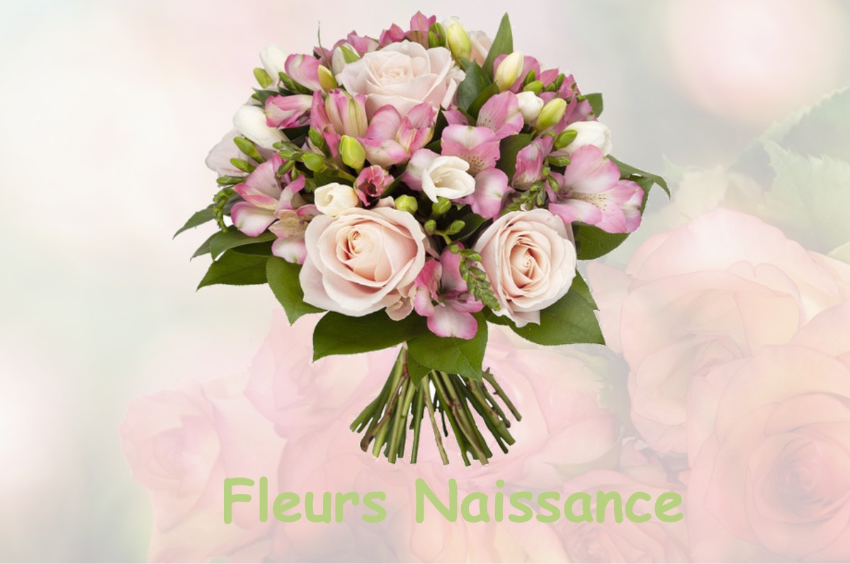 fleurs naissance MAUVAISIN