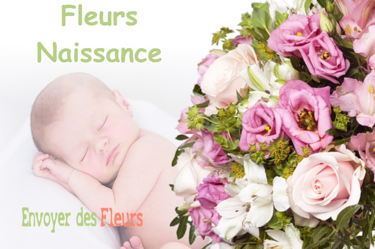 lIVRAISON FLEURS NAISSANCE à MAUVAISIN